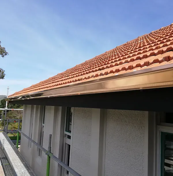 Copper O.G. continuous spouting on a weatherboard home